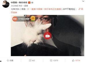 圈内爆料肖宇完整版 第3张 圈内爆料肖宇完整版 第3张